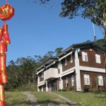 宽心自在~~迎新年