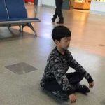 神奇的小树苗（下）