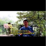 自在解脱之门