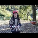 “道”冲而用之