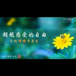 超越感受的自由
