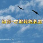 128如何-才能超越气血