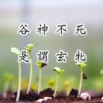 130谷神不死，是谓玄牝