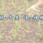 132耕-智慧 读-禅机